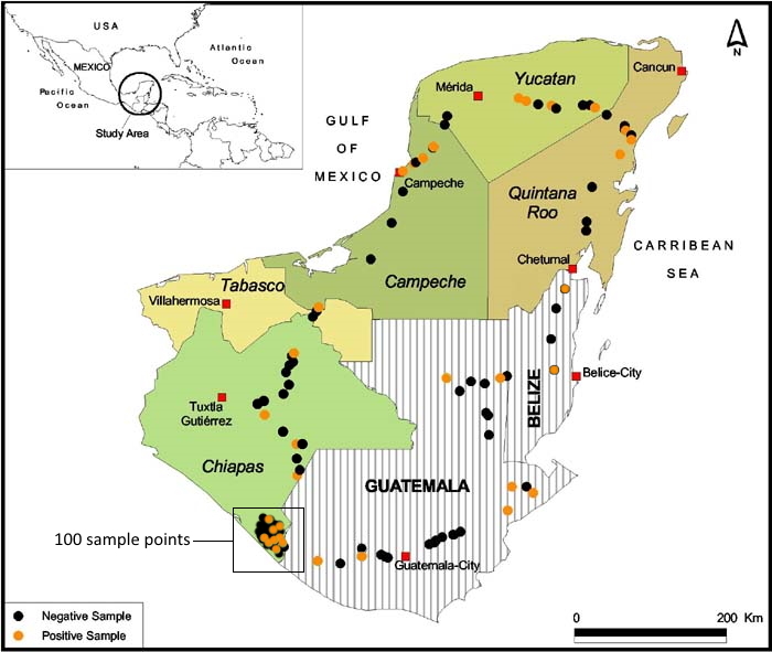 Mapa de la distribuci�n de suelos positivos por SfMNPV en M�xico, Belice y Guatemala